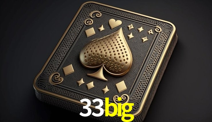 Sistemas de Segurança 33big